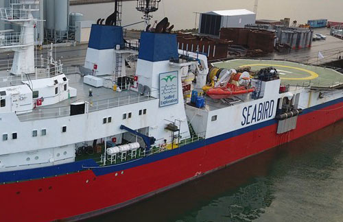 Seabird Exploration